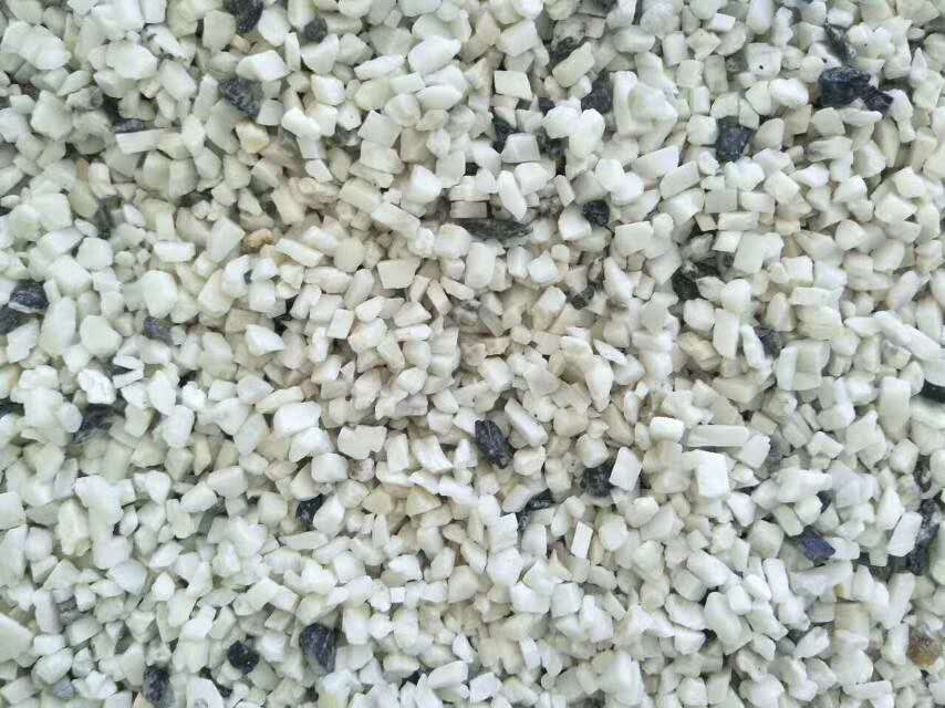 中国粉体网到访沃尔光电技术交流