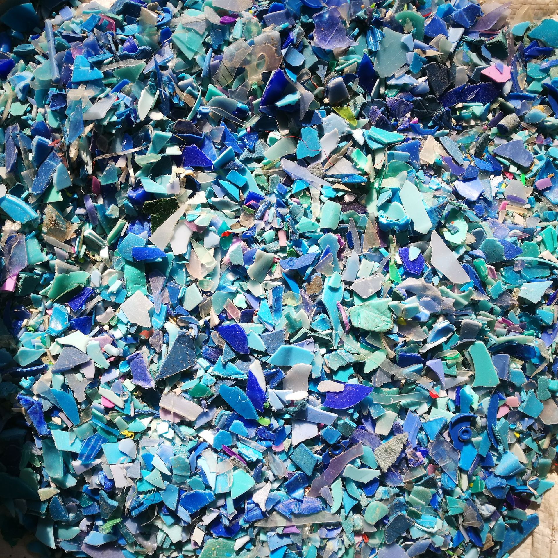 1627264356112103.jpg
