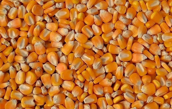1638252827735212.jpg