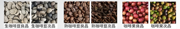 3986e51d080c313ea9061a84217ce00.png